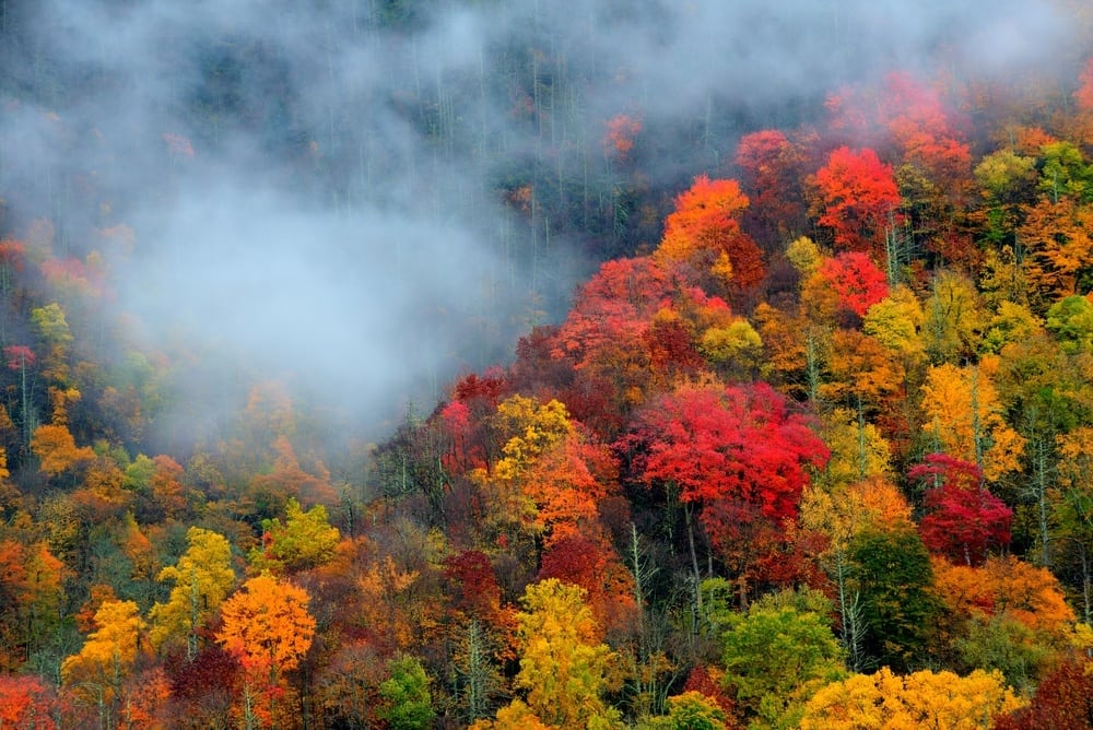 3%20Reasons%20to%20Visit%20the%20Smoky%20Mountains%20in%20the%20Fall